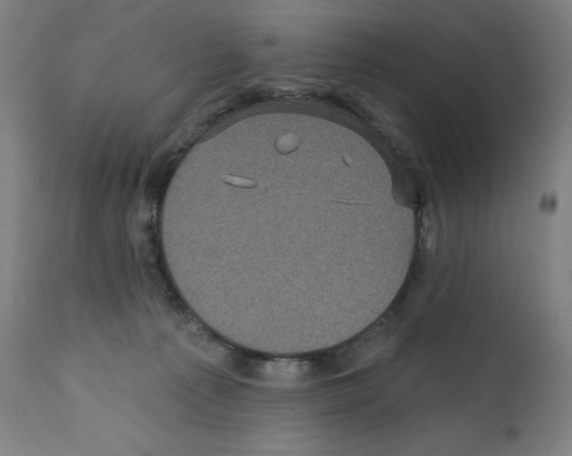 X0000112350225200909241110