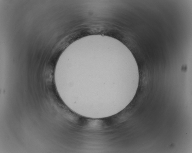 X0000112350226200909241110