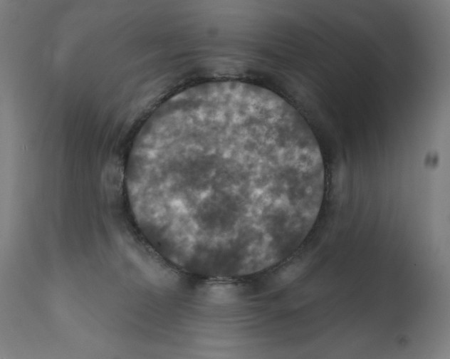 X0000112350228200909241110