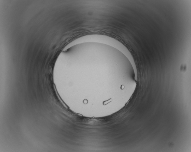 X0000112350229200909241110