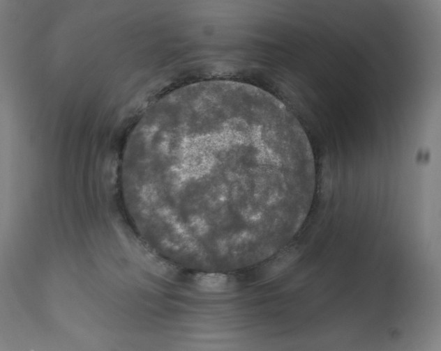 X0000112350230200909241110