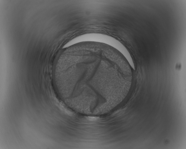 X0000112350233200909241110