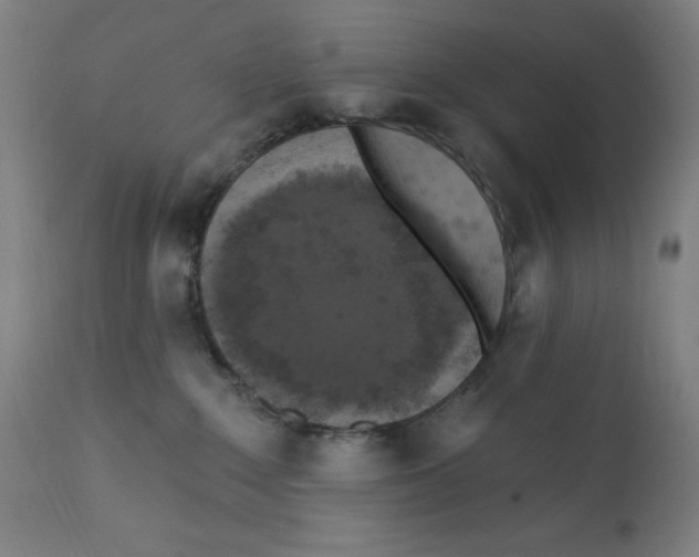 X0000112350235200909241109