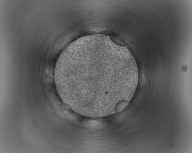 X0000112350236200909241109