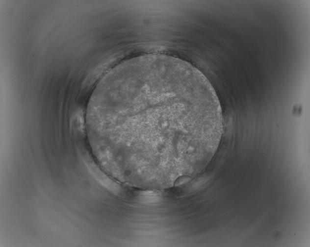 X0000112350238200909241109