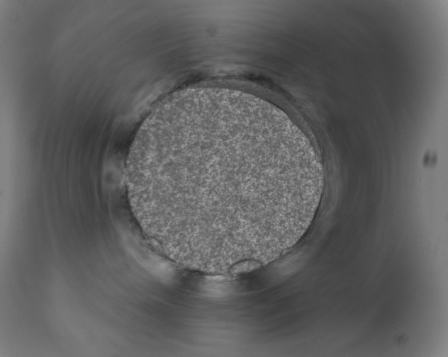 X0000112350240200909241109