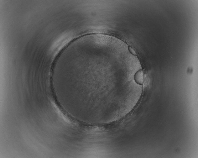 X0000112350243200909241109