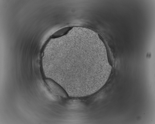 X0000112350244200909241109