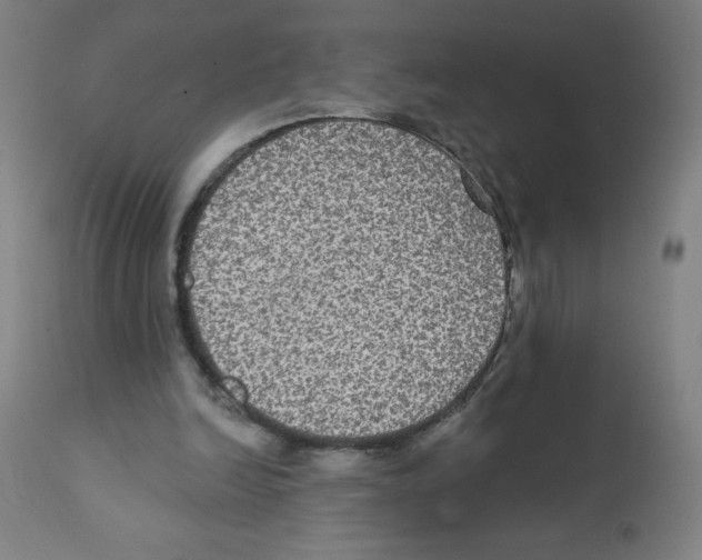 X0000112350246200909241109