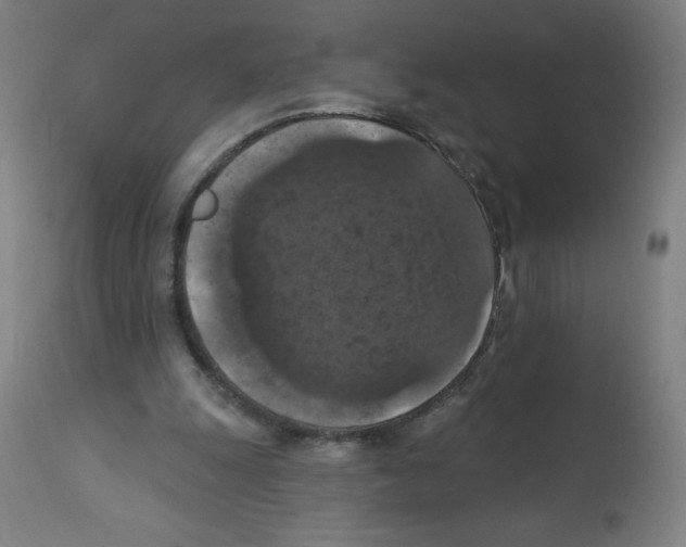 X0000112350247200909241109