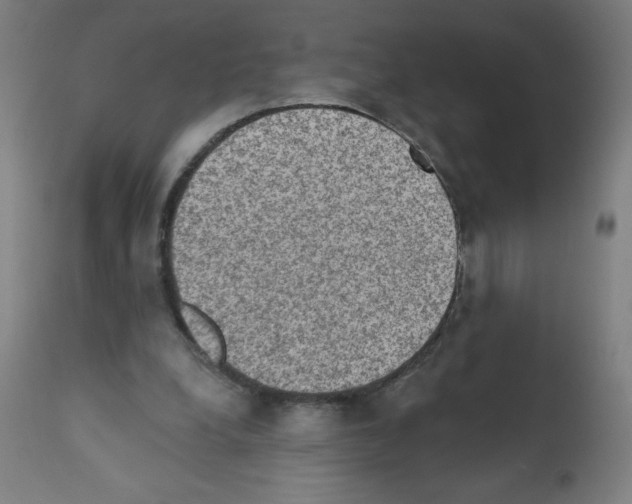 X0000112350248200909241109