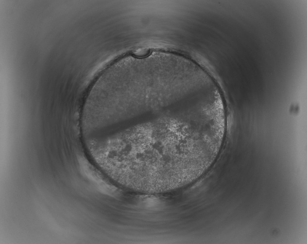 X0000112350249200909241109