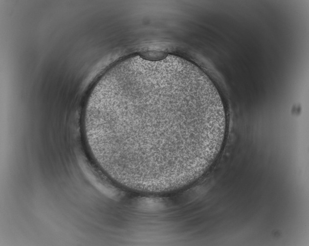 X0000112350250200909241109