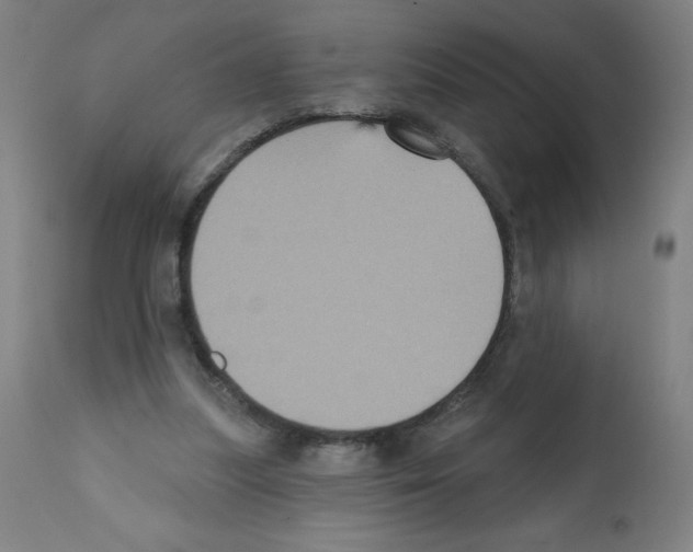 X0000112350251200909241109