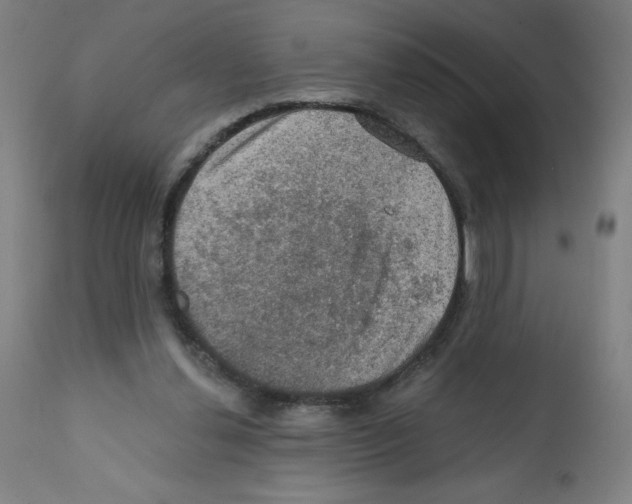 X0000112350252200909241109