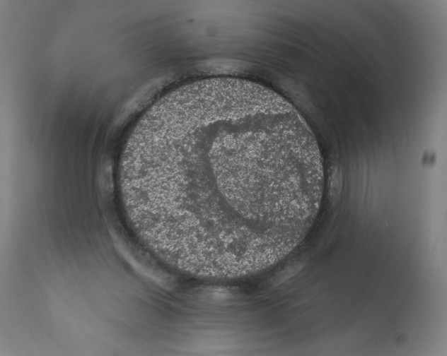 X0000112350254200909241109