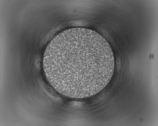 X0000112350255200909241109