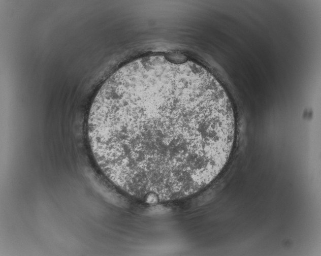 X0000112350257200909241109