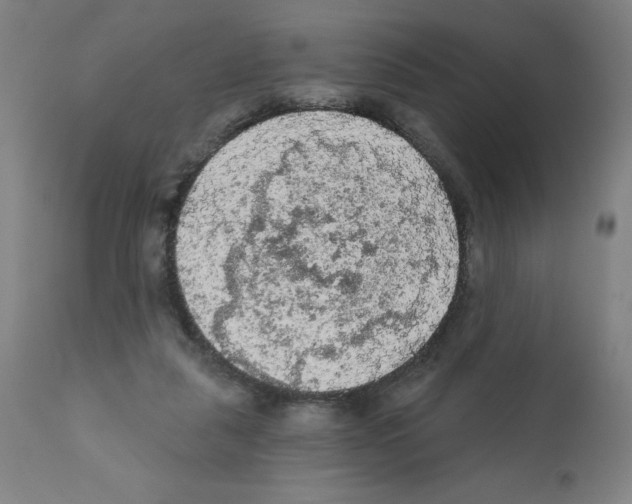 X0000112350259200909241109