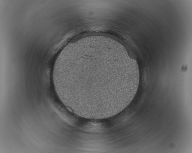 X0000112350260200909241109