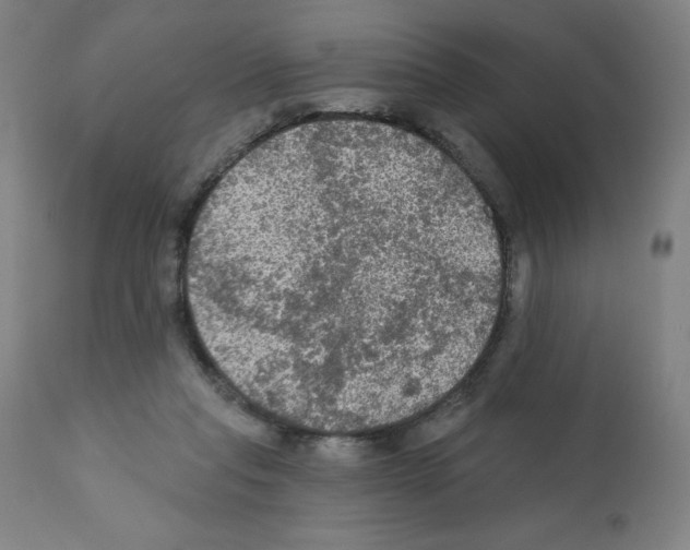 X0000112350261200909241109