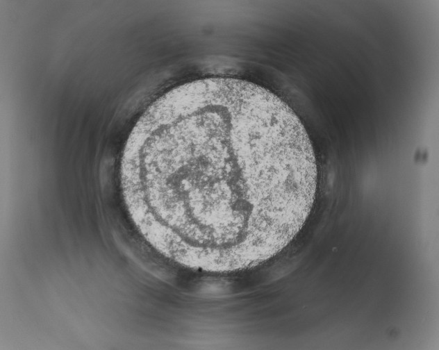 X0000112350263200909241109