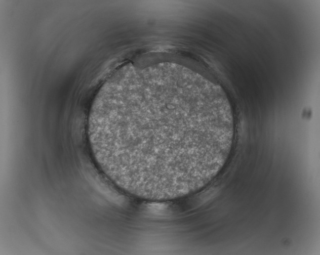 X0000112350265200909241109