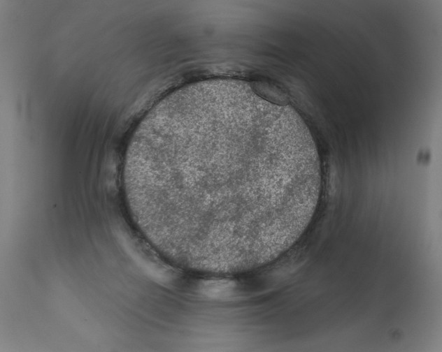 X0000112350266200909241109