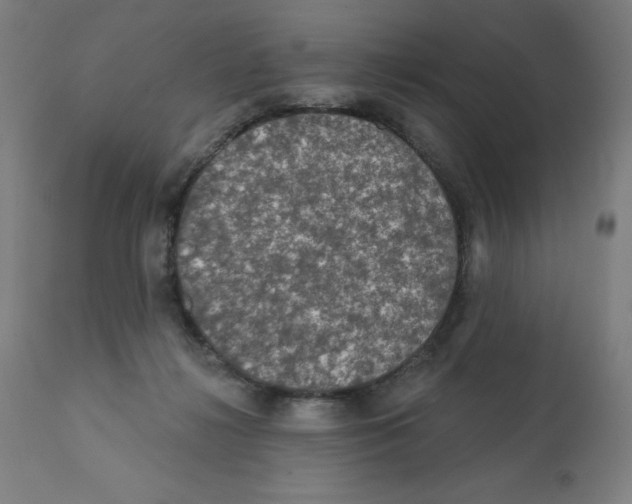 X0000112350268200909241109