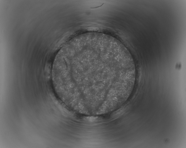 X0000112350273200909241109