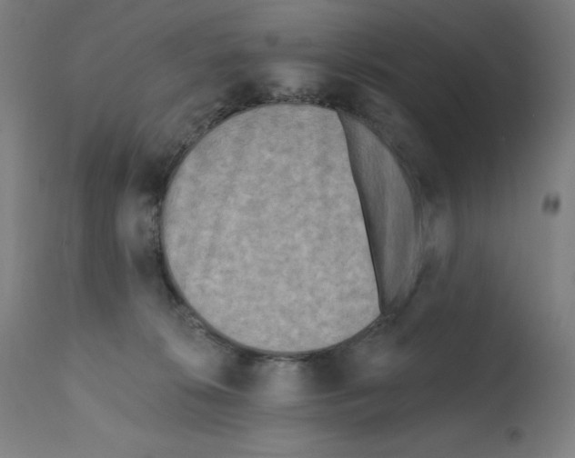 X0000112350276200909241109