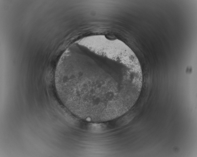 X0000112350277200909241109