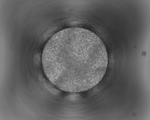 X0000112350278200909241109