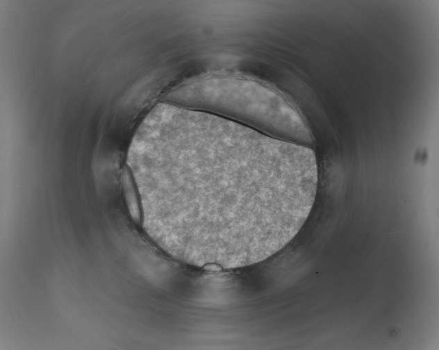 X0000112350280200909241109