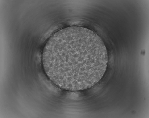 X0000112350282200909241109