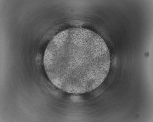 X0000112350283200909241109