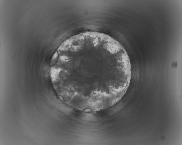 X0000112350285200909241109