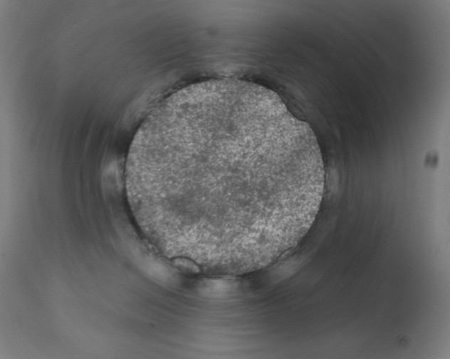 X0000112350286200909241109