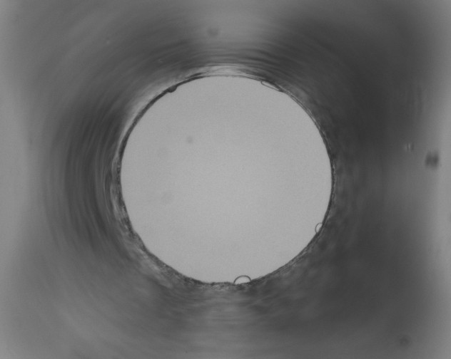 X0000112350289200909241109