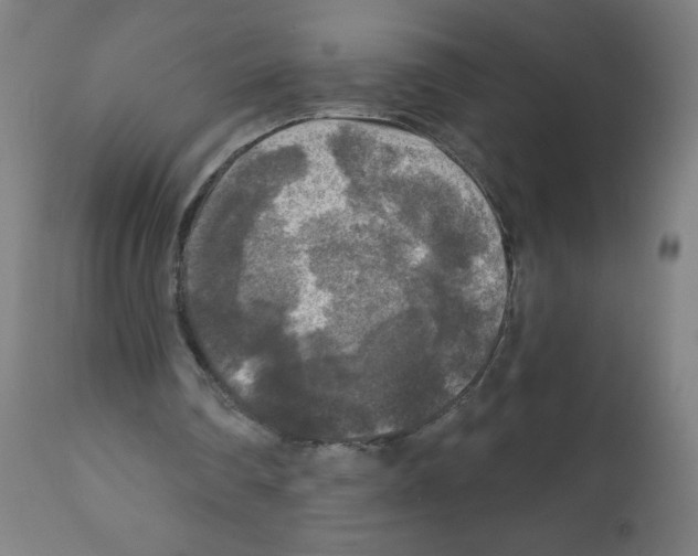 X0000112350290200909241109