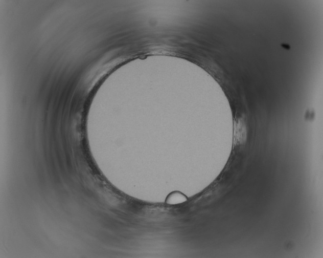 X0000112350291200909241109