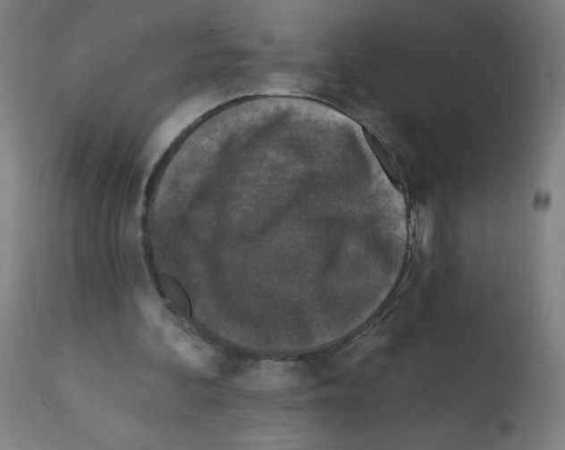 X0000112350292200909241109