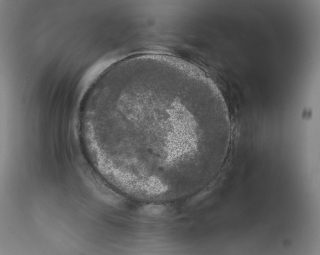 X0000112350294200909241109