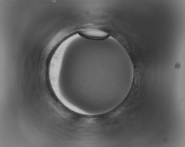 X0000112350295200909241109