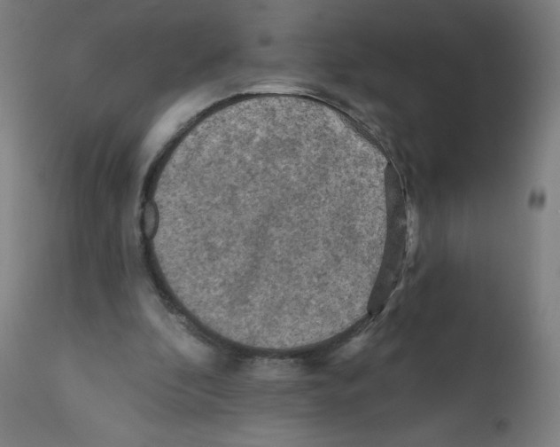 X0000112350296200909241109