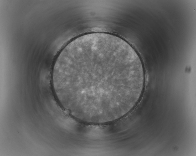 X0000112350297200909241109