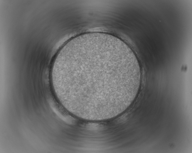 X0000112350298200909241109