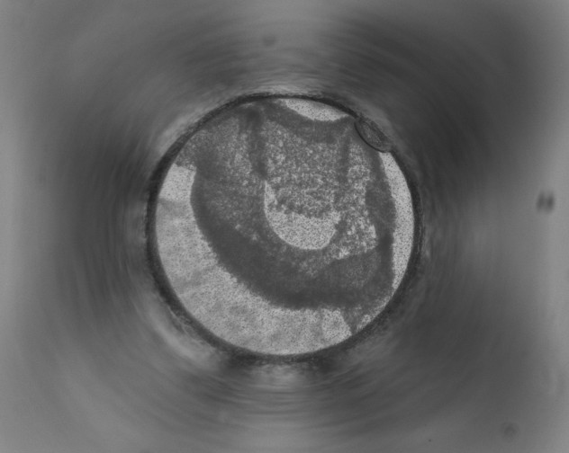 X0000112350299200909241109