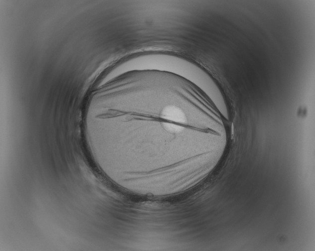 X0000112350300200909241109