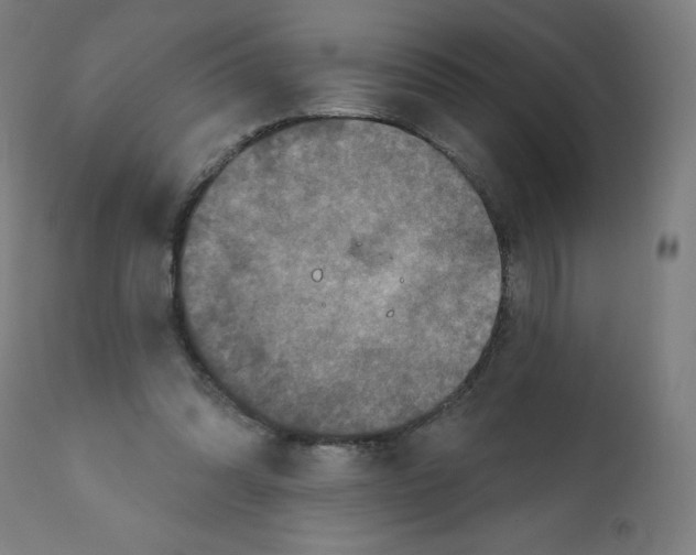 X0000112350302200909241108